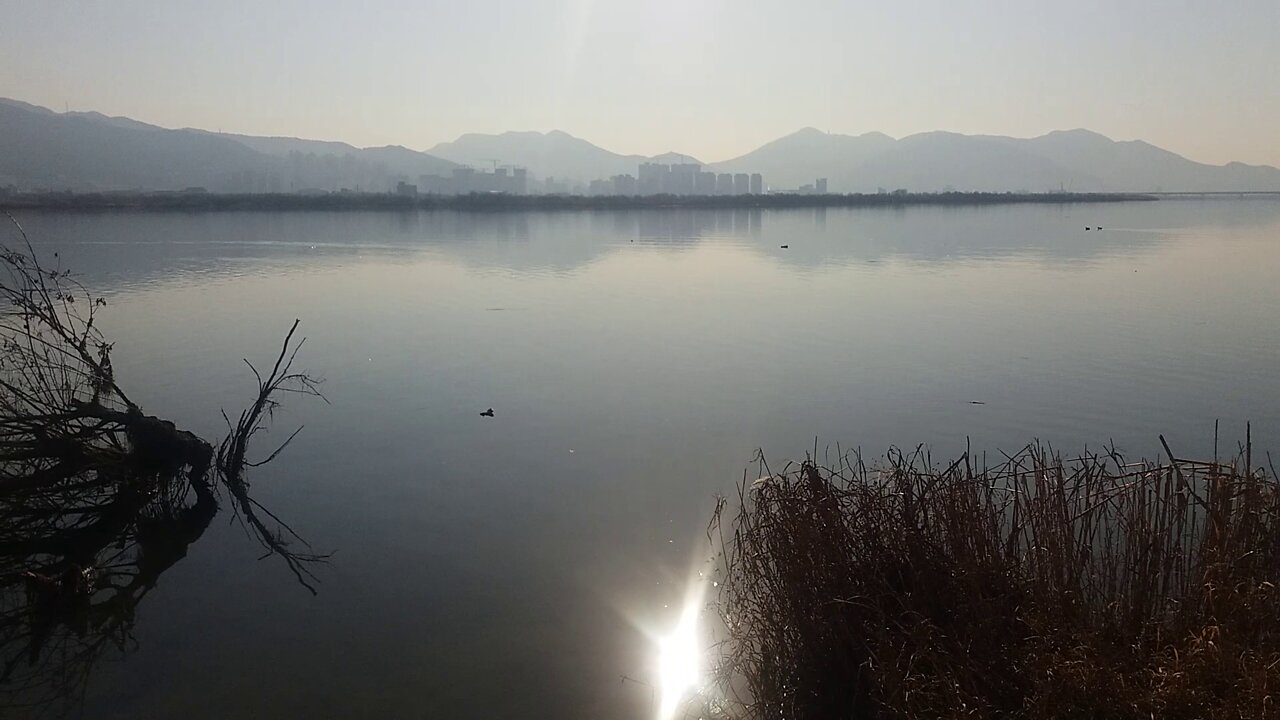 River view from the reed forest