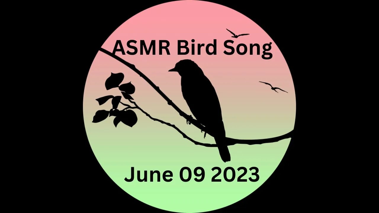 ASMR morning songbirds this was filmed June 09 2023 at 5 am | Nagasaki Japan | Sasebo | The J-Vlog