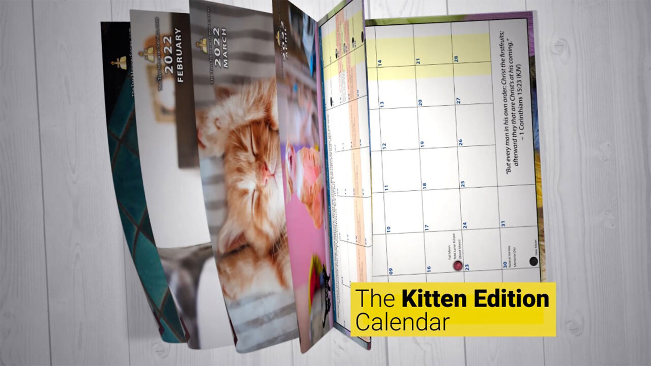 12 MONTH BIBLICAL CALENDAR 2022 (Kitten Edition – Volume 1)