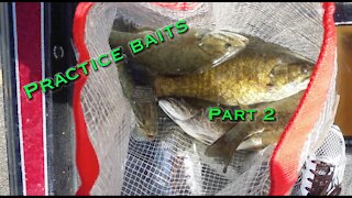 Practice Baits part 2