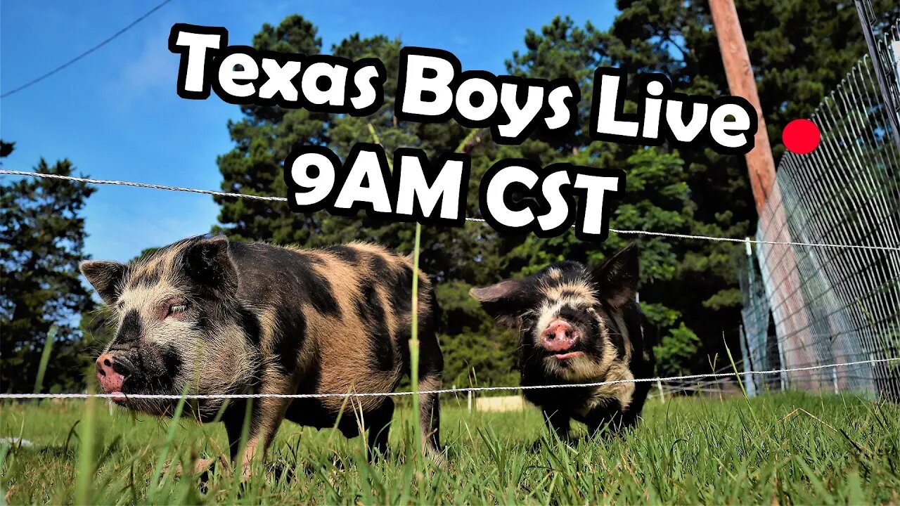 Texas Boys Live 9AM CST