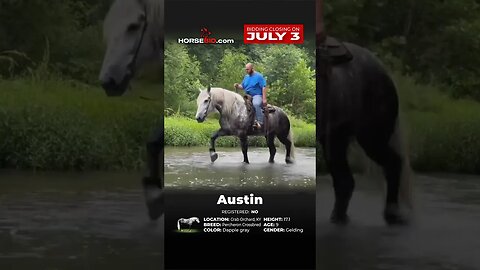 ＡＵＳＴＩＮ