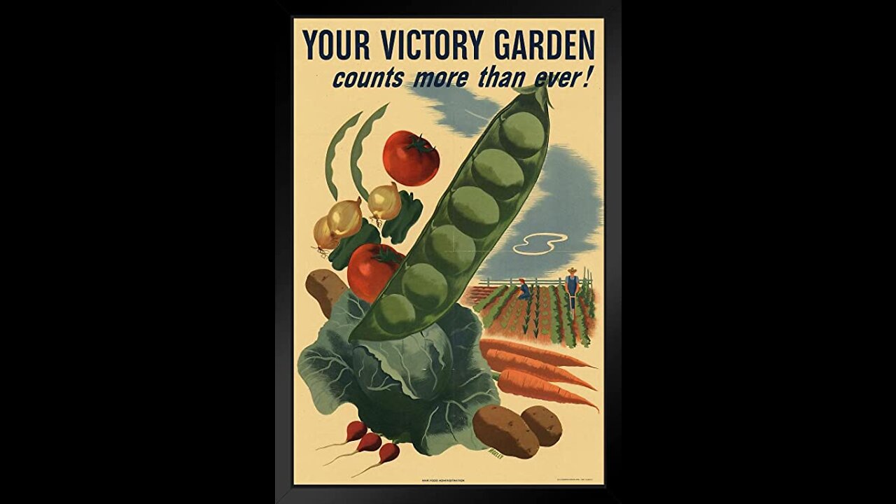 Victory Gardens, Layout Directions and Advice.