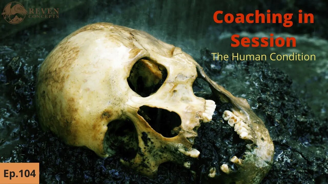 The Human Condition - Must Know Information 2022 | Coaching in Session