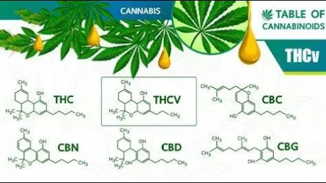 Does THCV Get You High? From The Boro Hemp Team!