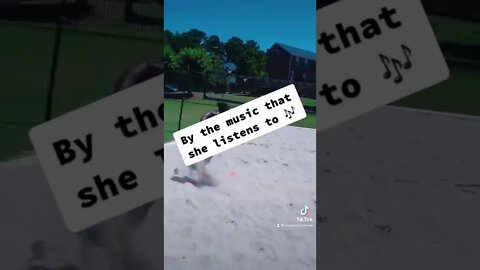 Check the playlist 👑