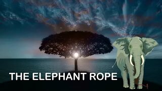 THE ELEPHANT ROPE#motivation #motivationalquotes #motivationalvideo