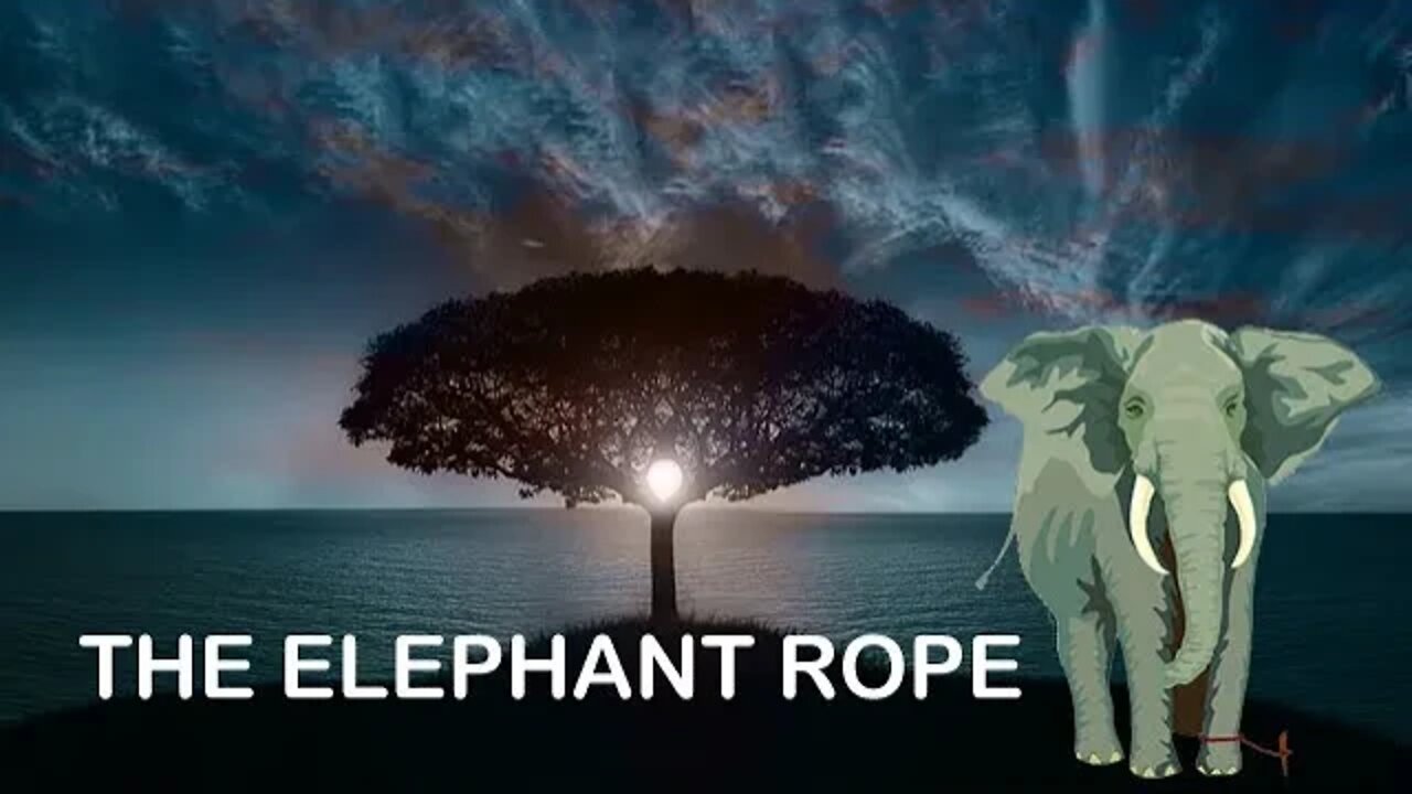 THE ELEPHANT ROPE#motivation #motivationalquotes #motivationalvideo