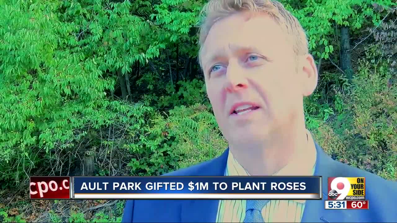 Park Board pumps brakes on planting roses in Ault Park