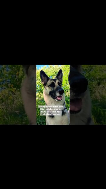 No One Will Watch This Video