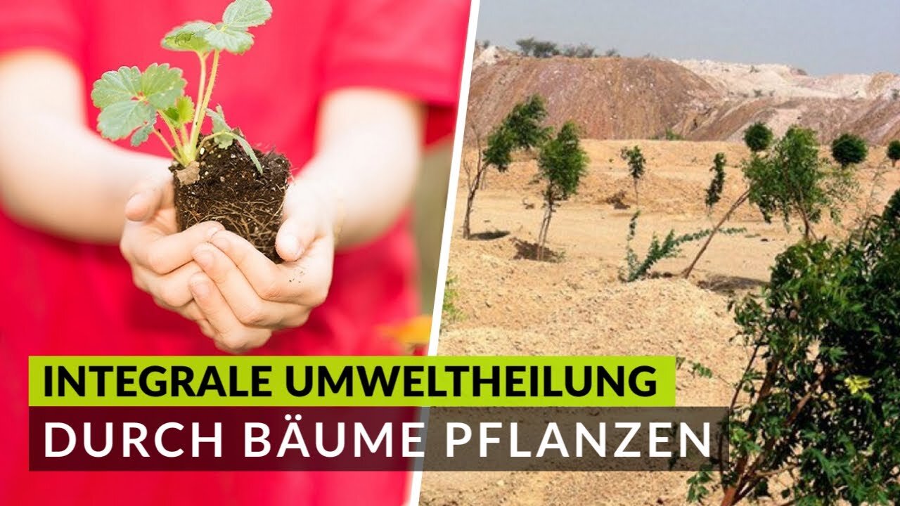 Die Wüstenbegrünung stärken! 🌳Vielen Dank an alle Baumpaten! (Mehr Infos in der Beschreibung)