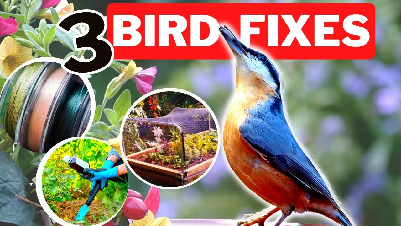 Keep Your Garden BIRD-FREE Forever