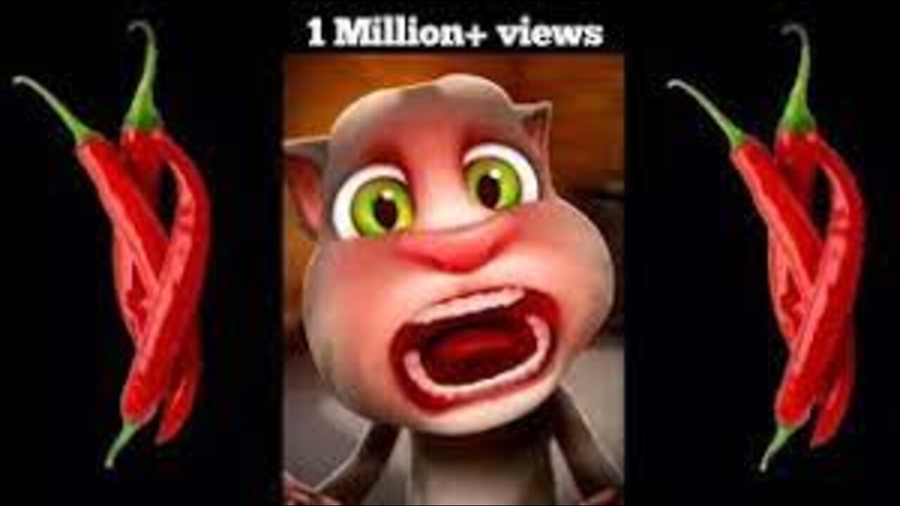 Mirch Talking Tom funny cat comedy