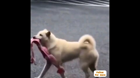 It's going to take for🤣😂 interesting video