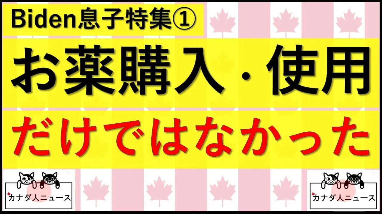 10.28 B息子は色々やっていた