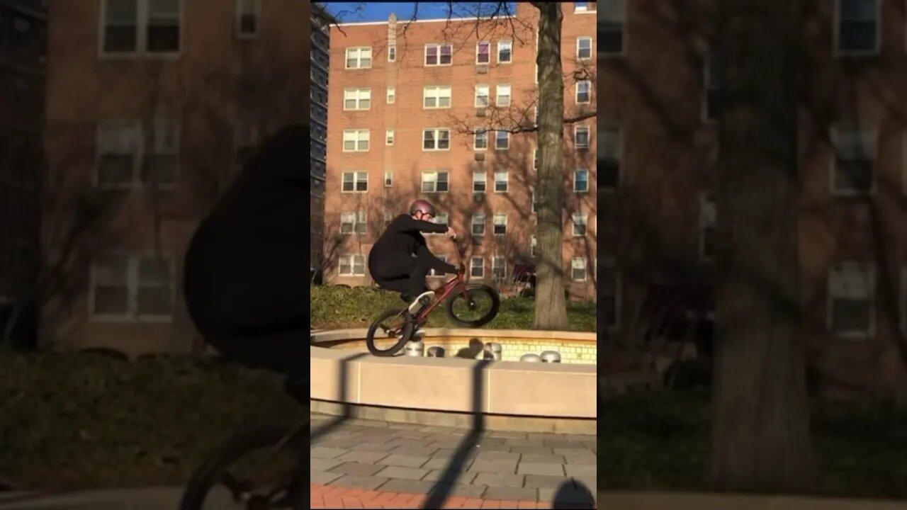 BMX MANUAL-GO-ROUND 🤘🏾🎡 #short