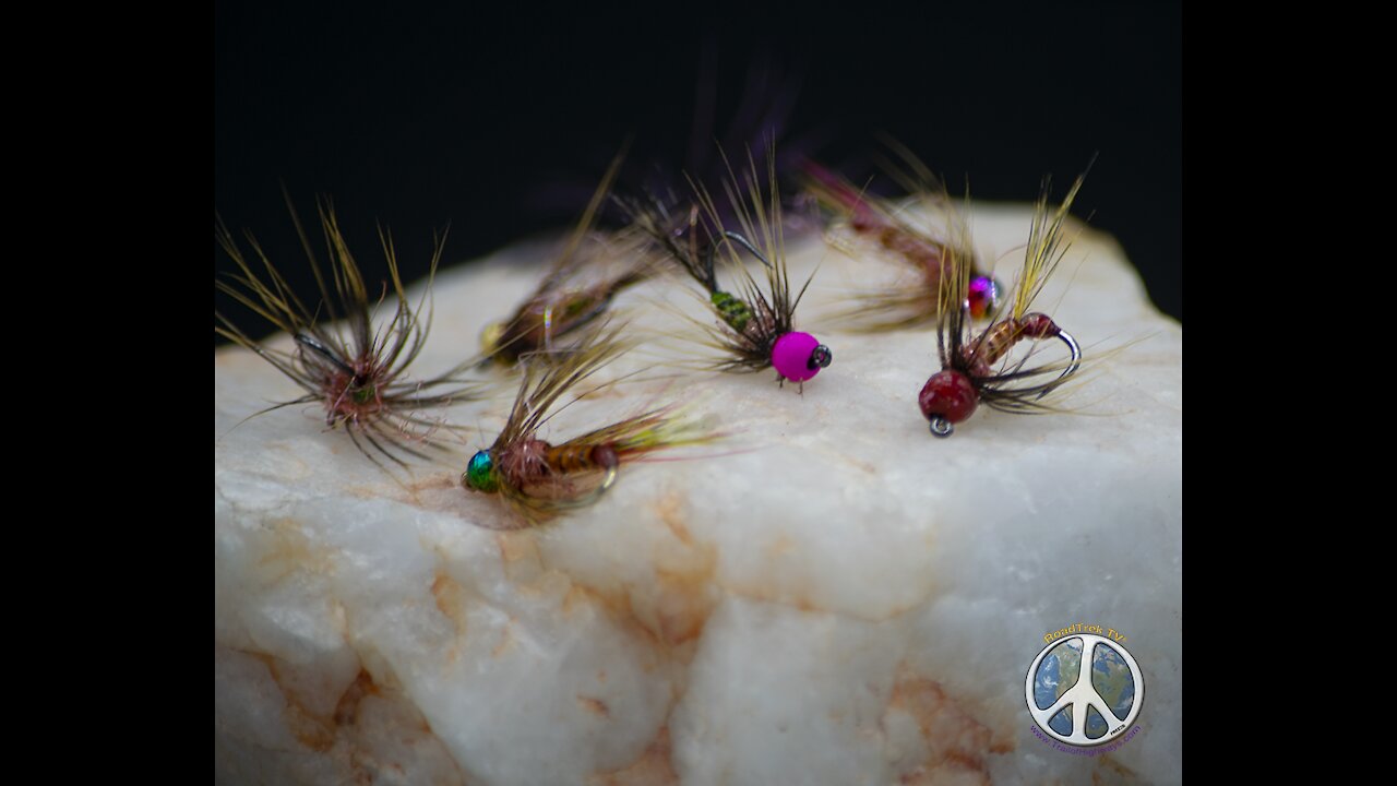 Tying a Brass Bead Head Nymph with burnt orange turkey biot