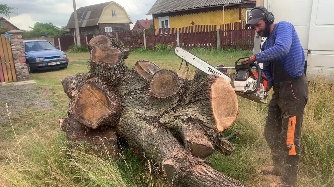 Mysterious log. What awaited us during the cut?