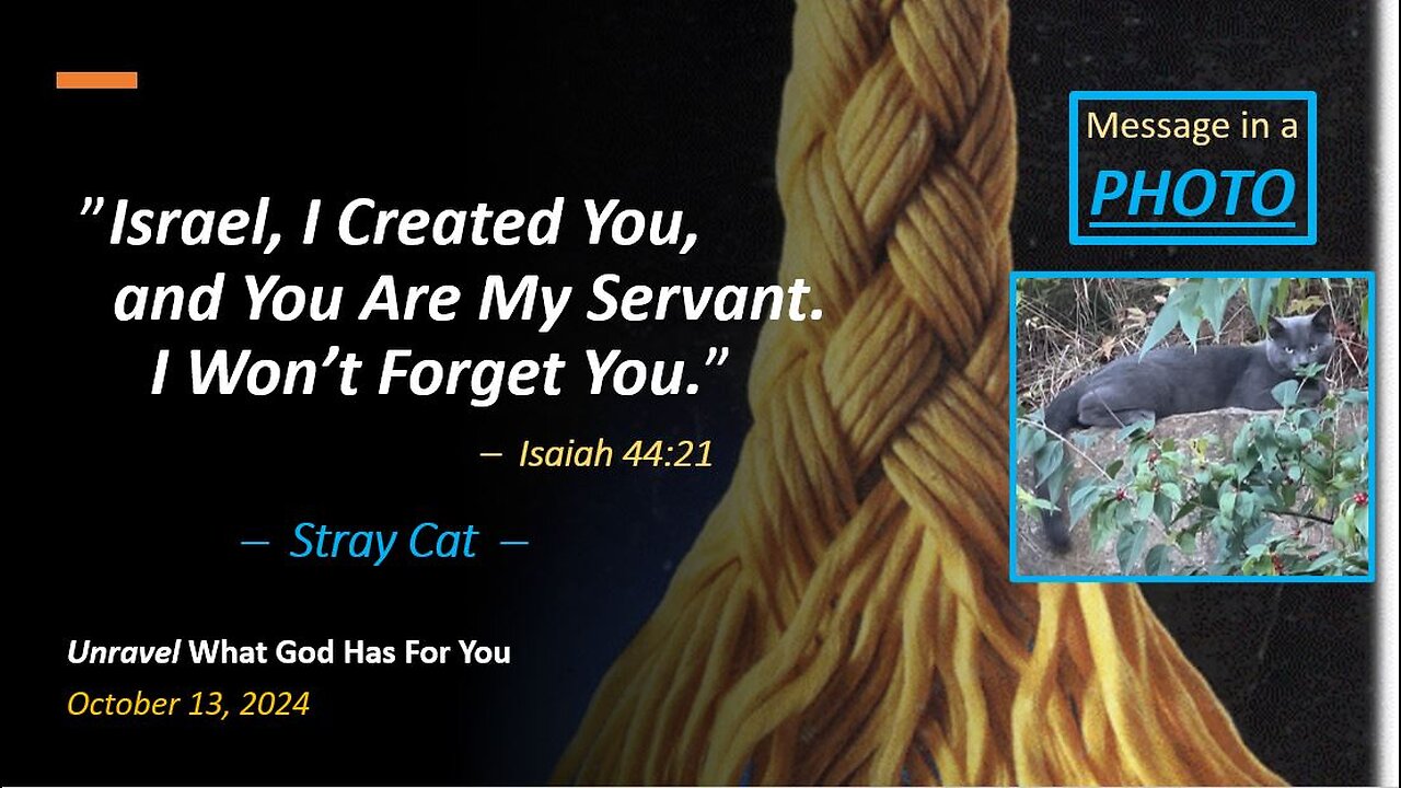 Israel, I Created You, and You Are My Servant. I Won't Forget You *Stray Cat* (Oct 13, 2024)