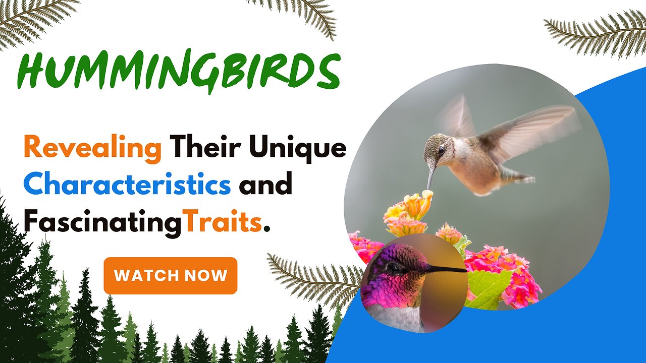 Hummingbirds, Revealing Their Unique Characteristics and Fascinating Traits.