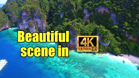 BEAUTIFUL SCENE IN 4K !!! | Free video - No copyright
