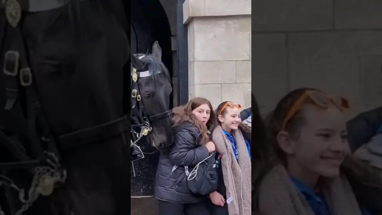 Her face of fear 😆 🤣 😂 #horseguardsparade