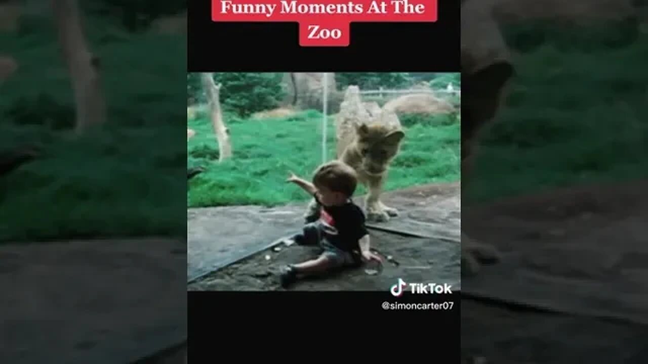 A crazy day at the zoo!