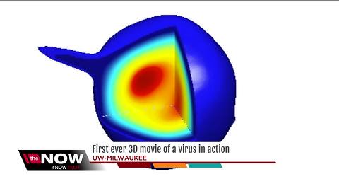 UWM scientists develop new way to study viruses using 3-D movie