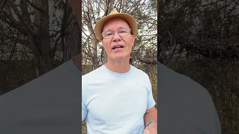 Being a Fruitful Tree in Jesus #shorts #bible #faith #jesus #god #grace #christian