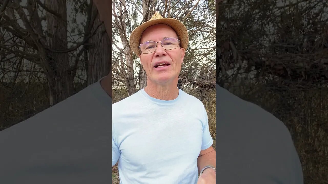 Being a Fruitful Tree in Jesus #shorts #bible #faith #jesus #god #grace #christian