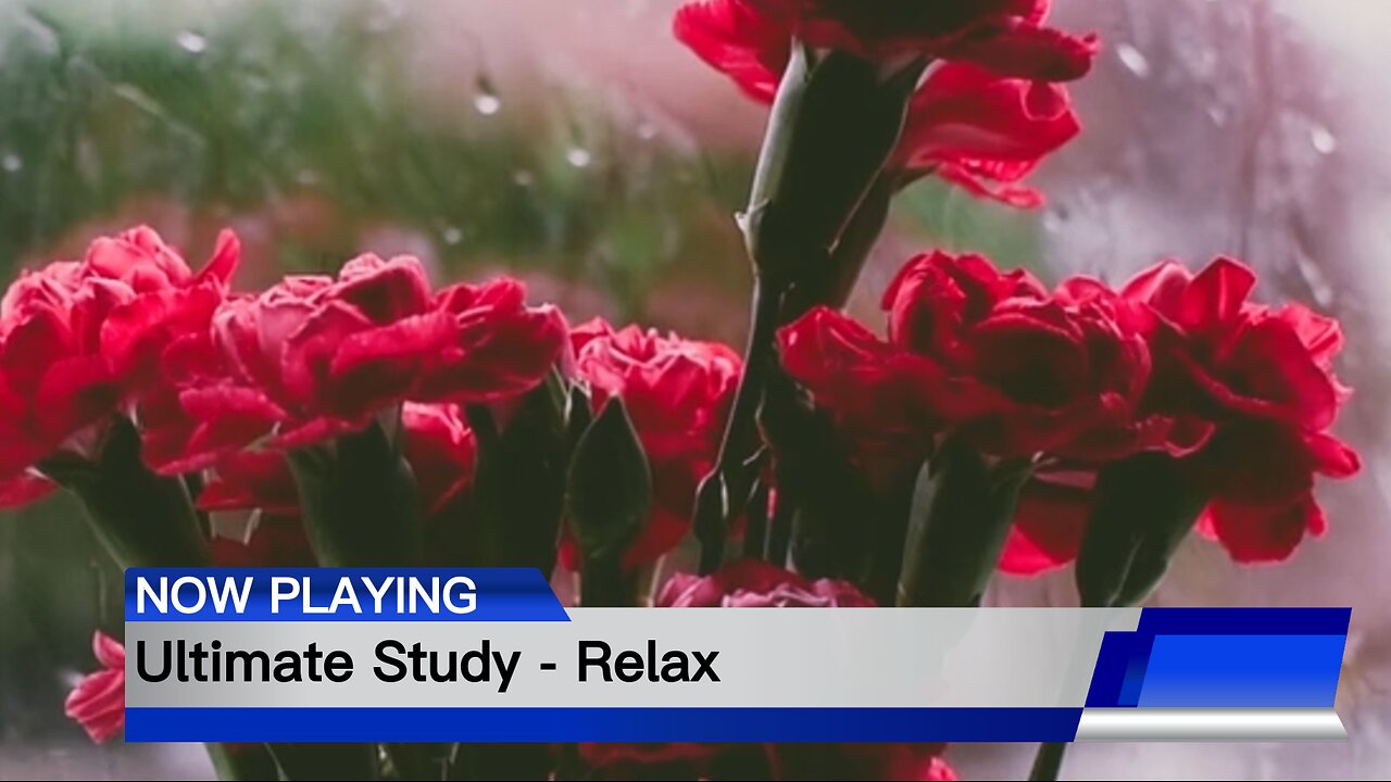 Ultimate Study - Relax