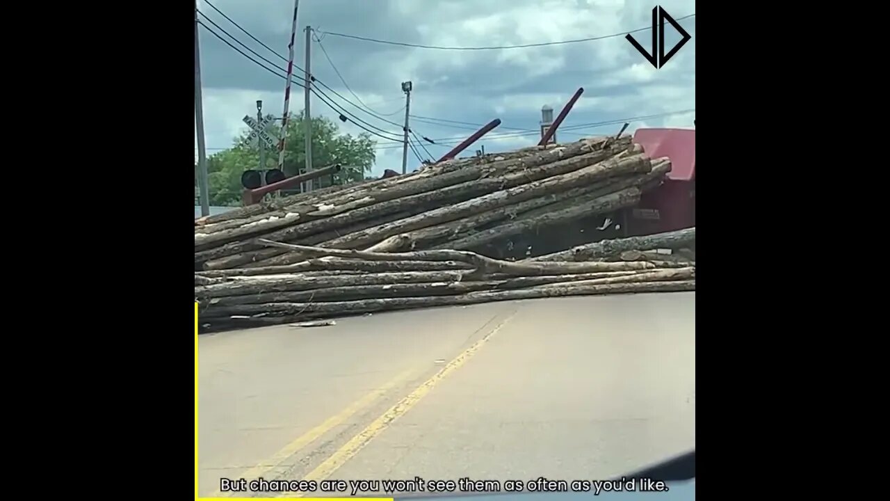 Truckers Struggles