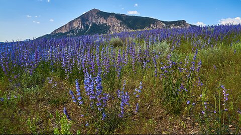 Crested Butte 7-12-2024