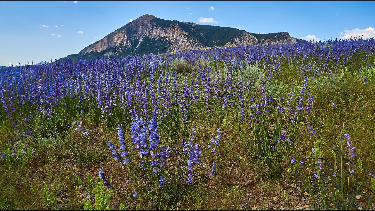 Crested Butte 7-12-2024