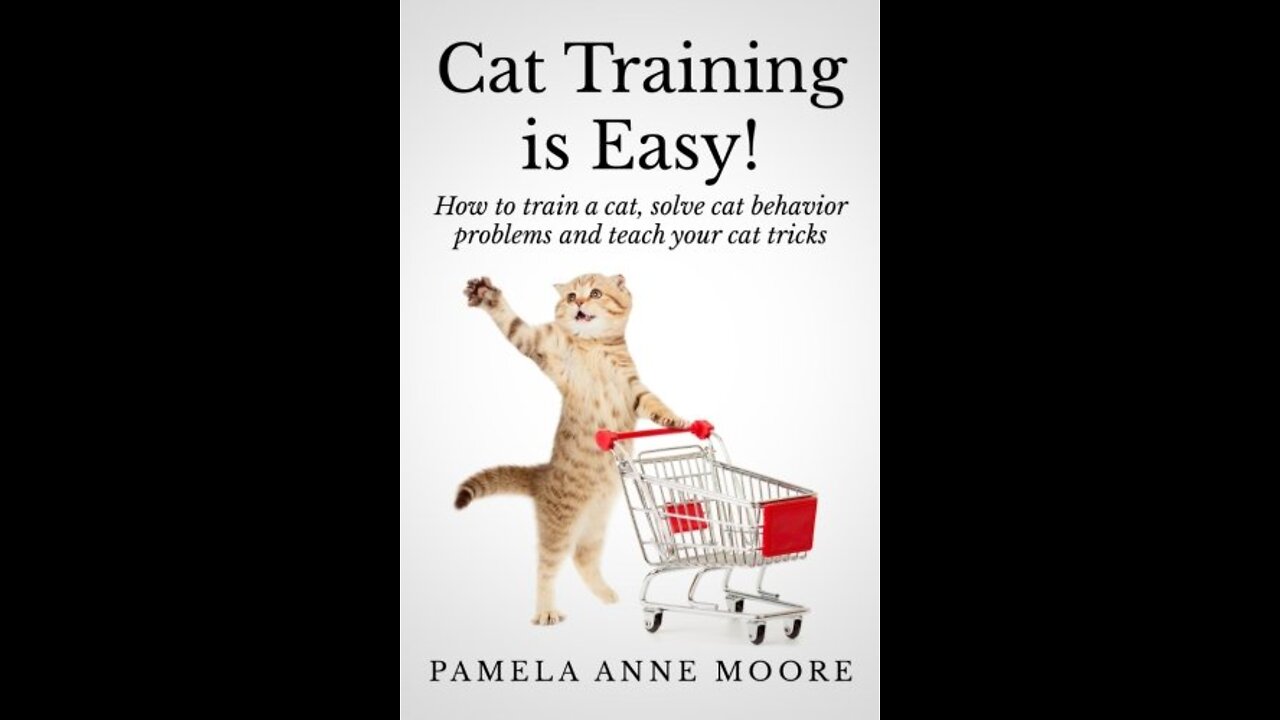 Basic Cat Training Tips-