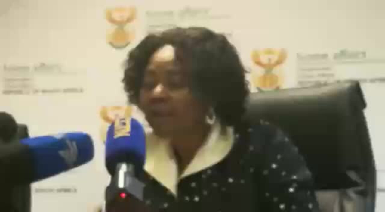 SA home affairs minister outlines fees, terms of Zim permits (Vkv)