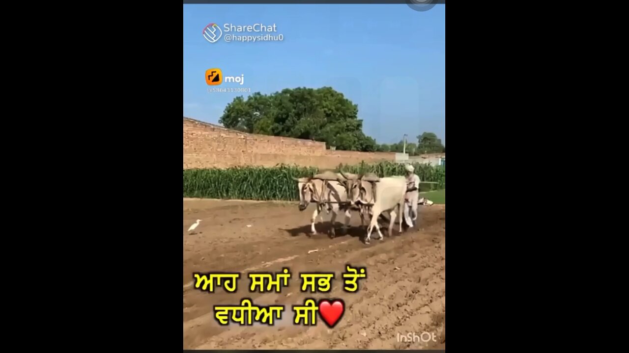 old is gold