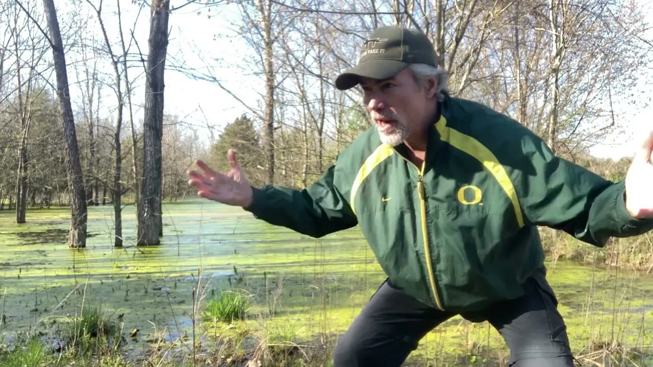 Wow, scouting song venues -- Halvi discovers the FEVER SWAMP!