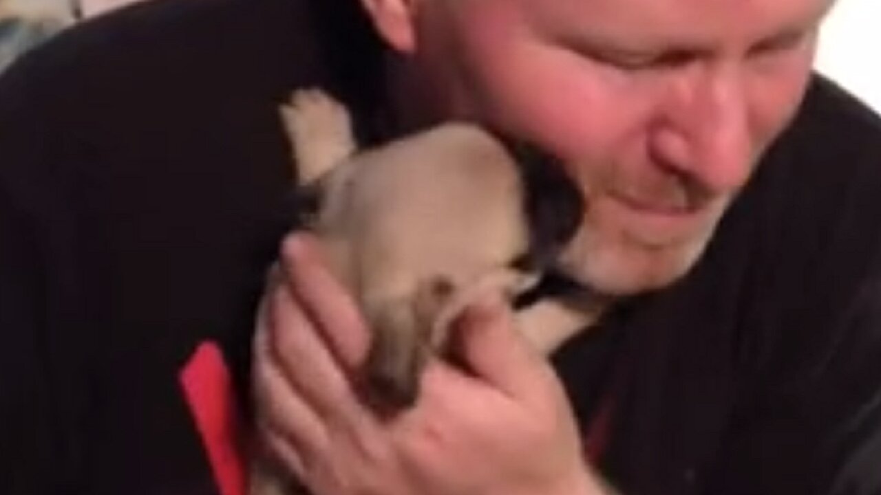 Woman Surprises Husband With Puppy After Losing Pug Of 11 Years