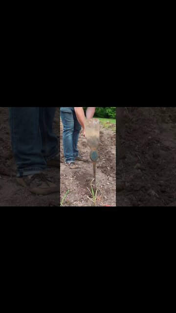 You NEVER KNOW what might take root…