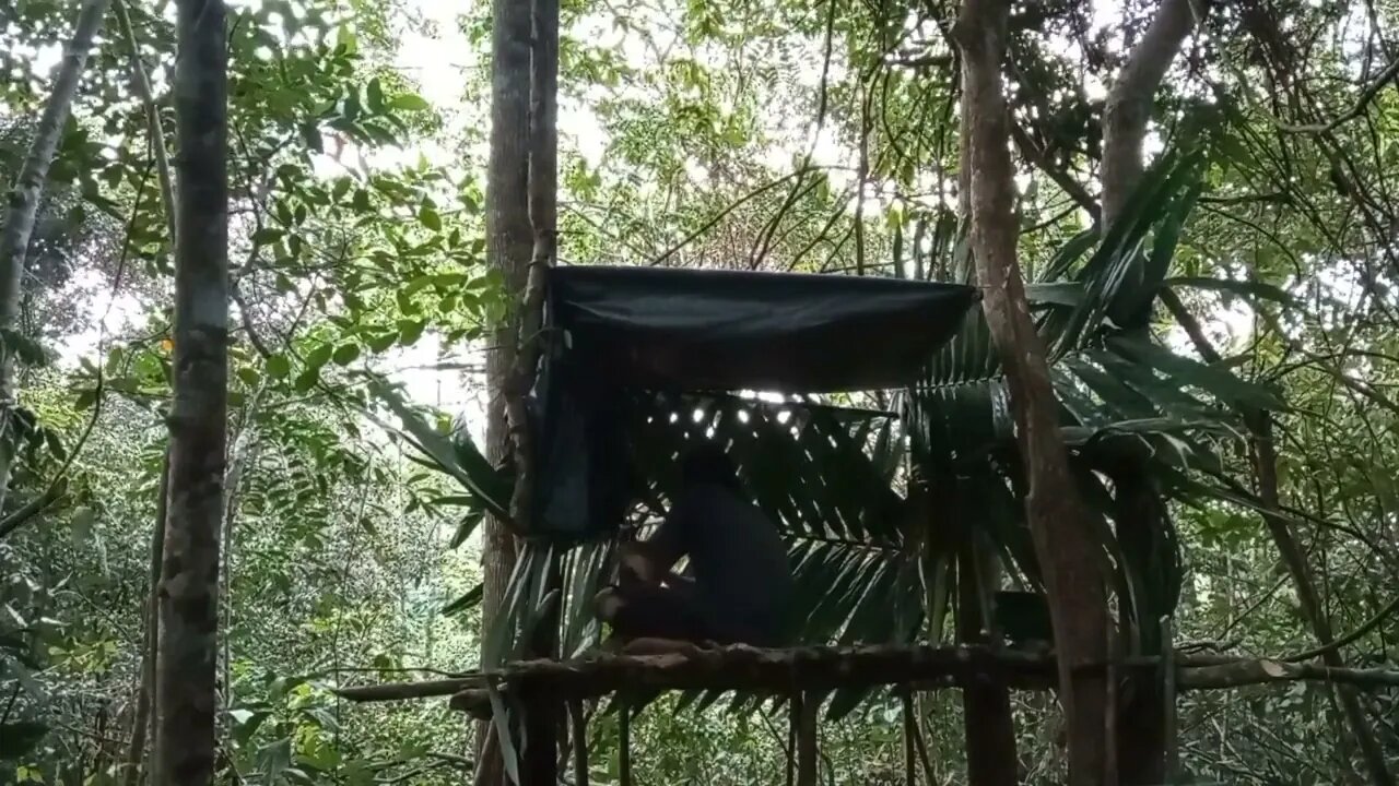 solo survival __ membangun shelter, masak, makan,eksplor, dan tidur nyenyak di hutan _20