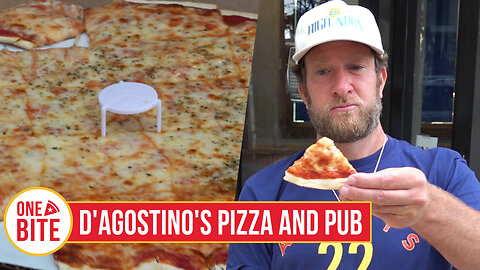 Barstool Pizza Review - D'Agostino's Pizza and Pub (Chicago, IL)