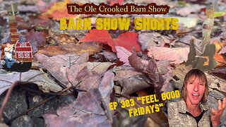 "Barn Show Shorts" Ep. #383 “Feel Good Fridays”