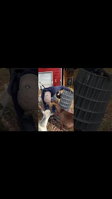 Just trying to help #shorts