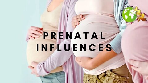 Adventist Home Chapter 43 - Prenatal Influences