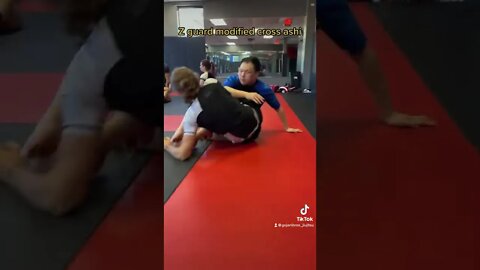 Z guard cross ashi entry