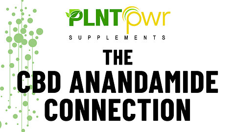 The CBD Anandamide Connection