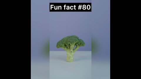 Did you know this about broccoli?