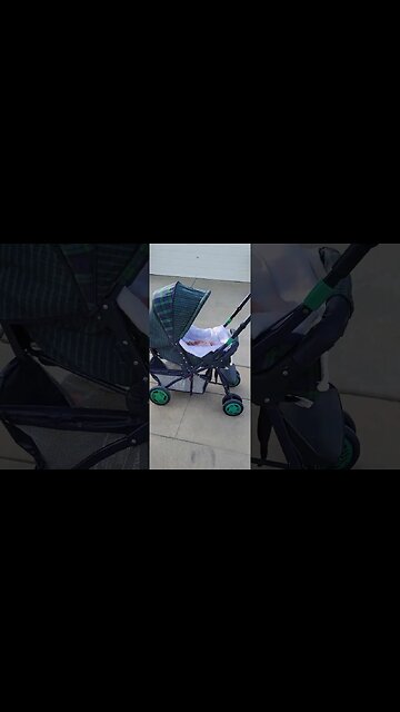 Found a baby while on my walk #shorts