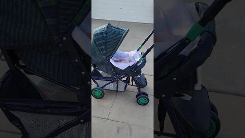 Found a baby while on my walk #shorts